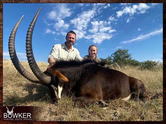 The Thrill of Sable Antelope Hunting: Guide to Hunting Sable